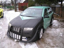 fabia037ss1.jpg